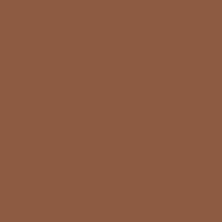 BS381-489 Leaf Brown Aerosol Paint